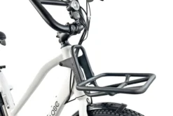 Cargo City E-Bike Cargado