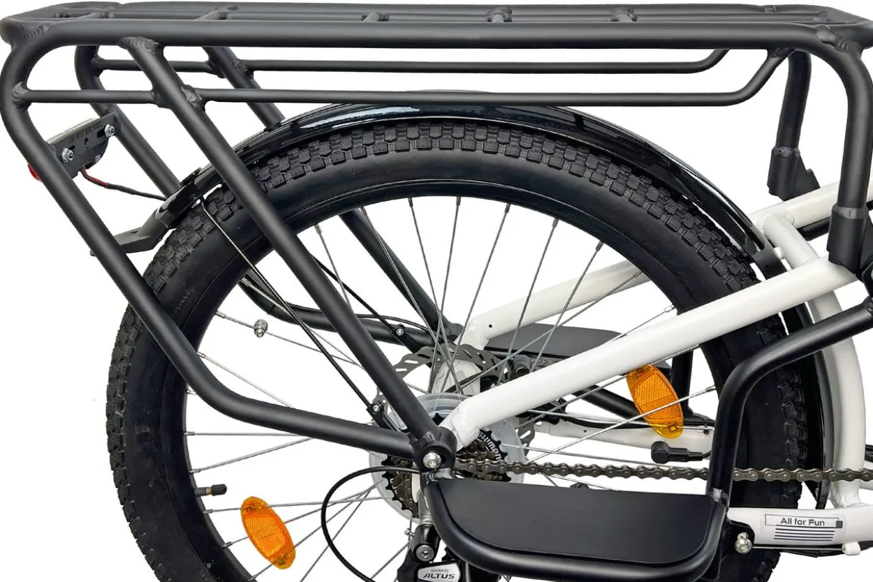 Cargo City E-Bike Cargado