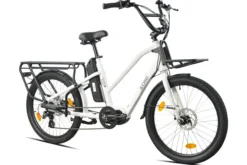 Cargo City E-Bike Cargado