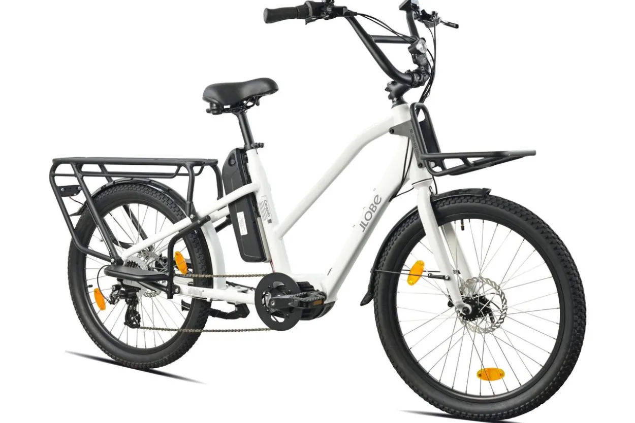 Cargo City E-Bike Cargado