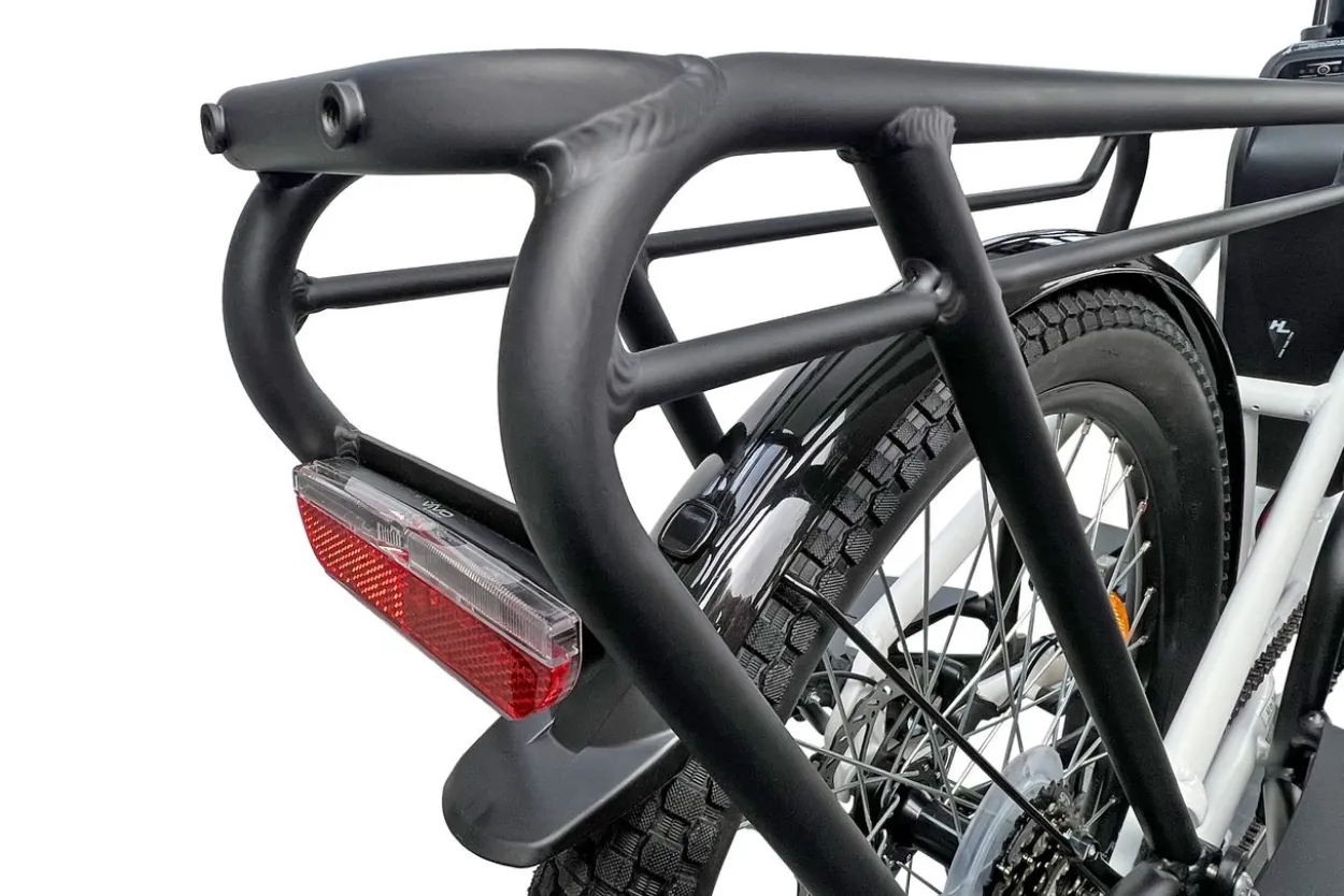 Cargo City E-Bike Cargado