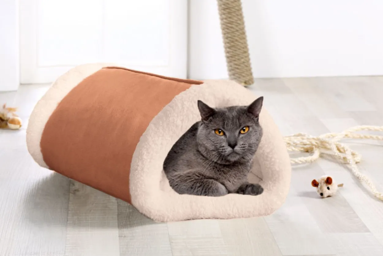 CAT BONBON Katzentunnel 2 in 1