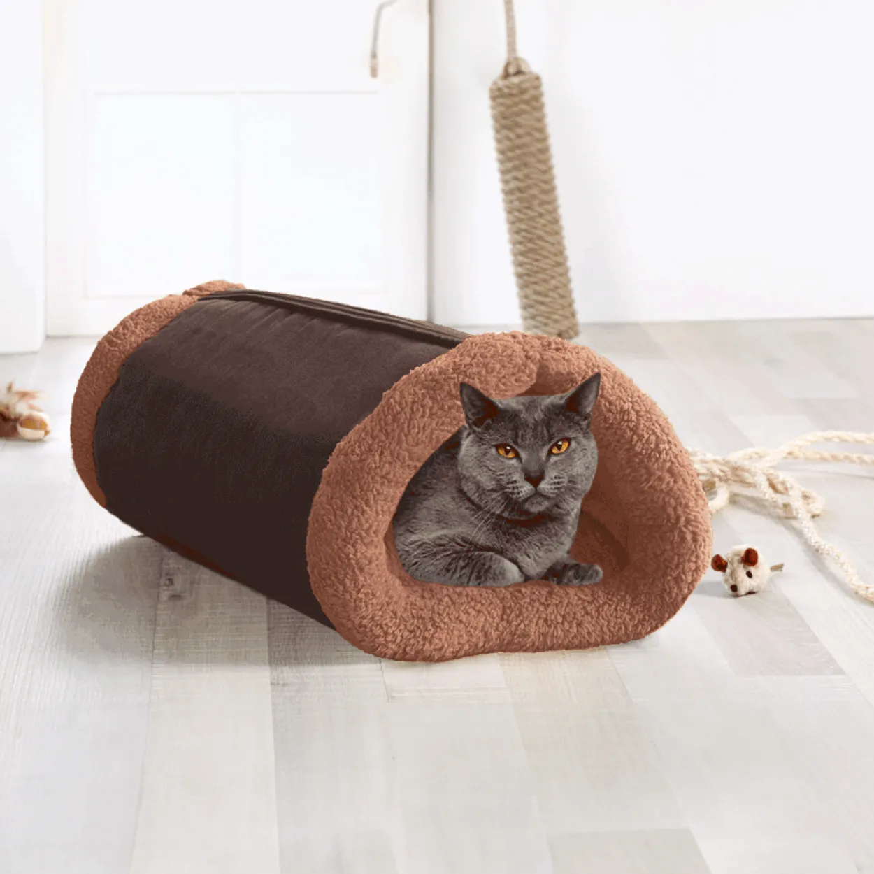 CAT BONBON Katzentunnel 2 in 1