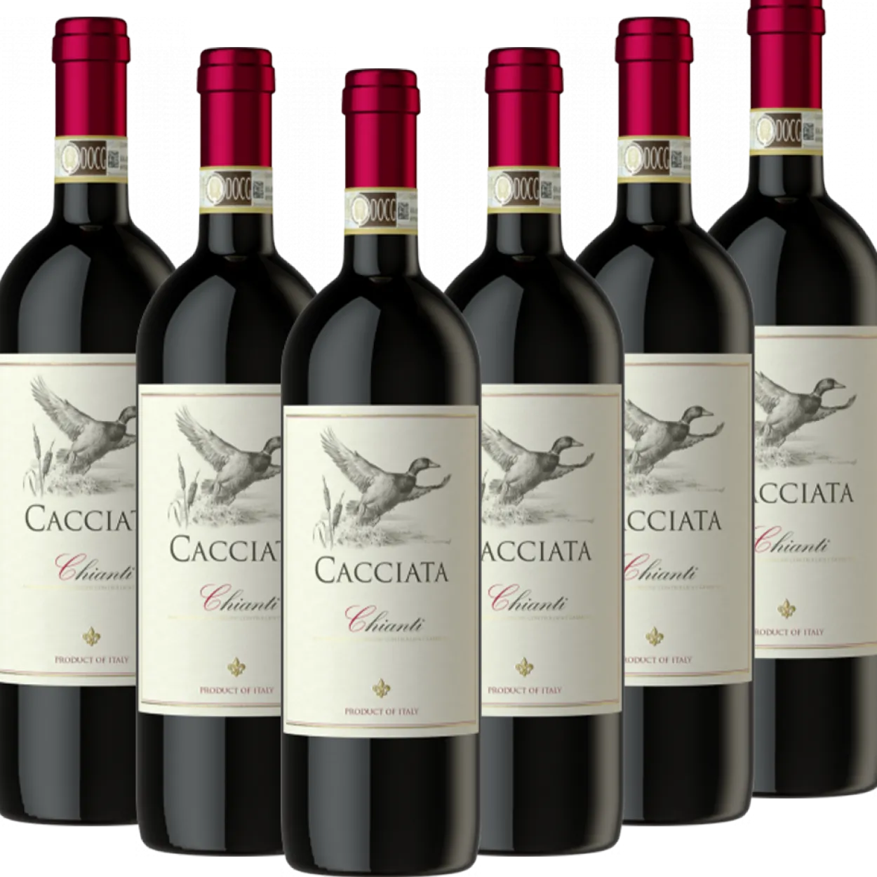Chianti DOCG "Cacciata" Italien trocken