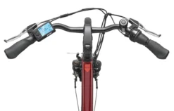 City E-Bike RC845 Multitalent mit 7-Gang Shimano Nabenschaltung, Weinrot
