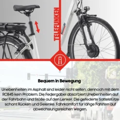 City E-Bike RC845 Multitalent mit 7-Gang Shimano Nabenschaltung, Weiß
