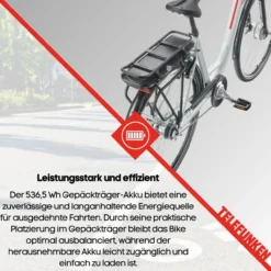 Damen City E-Bike RC657 Multitalent mit 7-Gang Shimano Nabenschaltung, Weiß