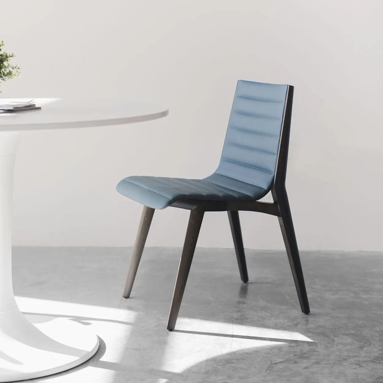 Dampfstaubsauger 3-in-1 ARYA600, Blau