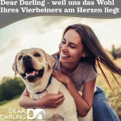 DD-06 Luxus Hundebett Braun Anthrazit Gr. M 60x60cm Memoryschaum Matratze