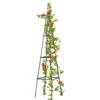 Dekorative Rankhilfe - Pyramide