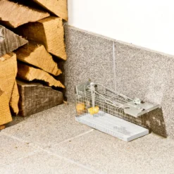 Drahtkasten-Rattenfalle
