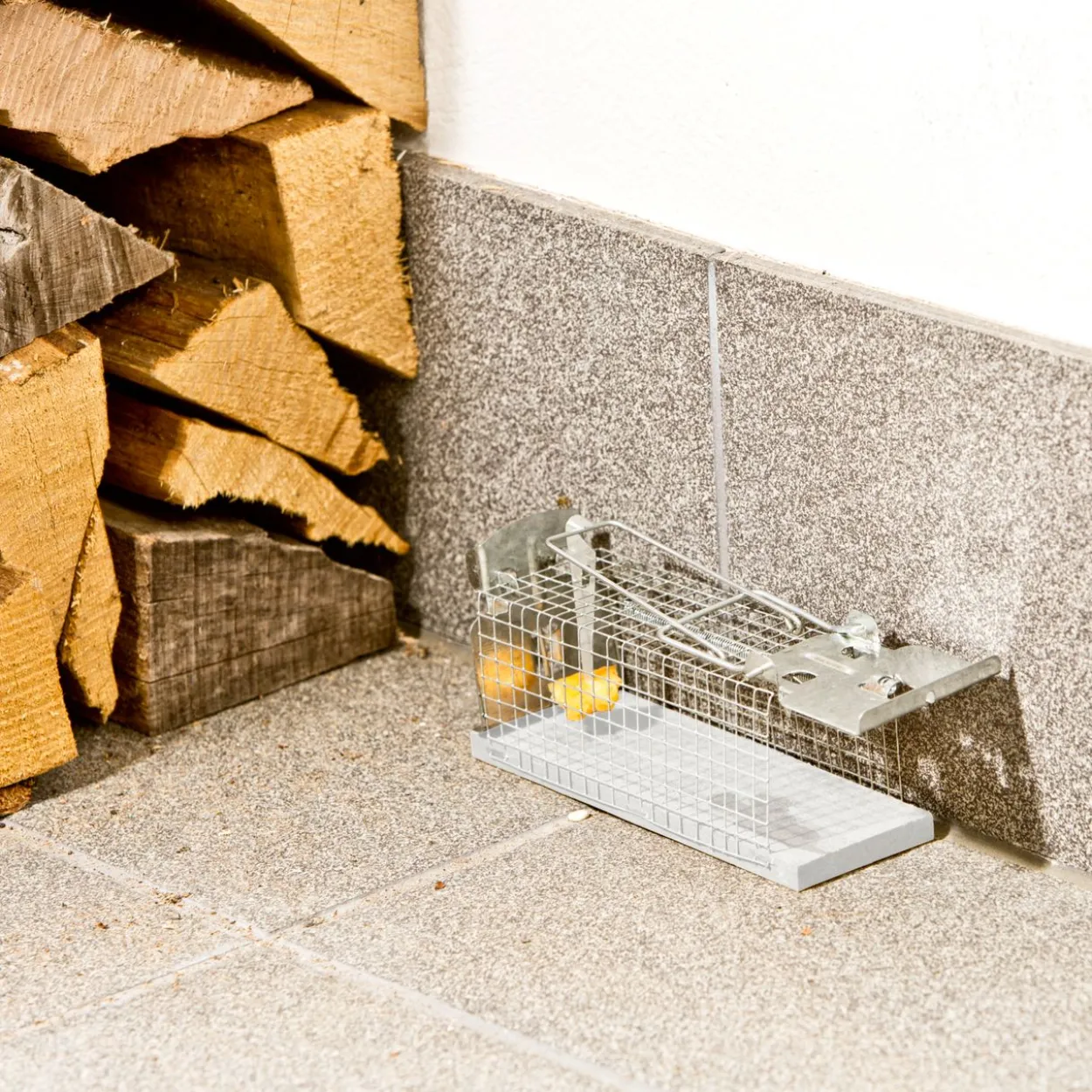 Drahtkasten-Rattenfalle