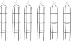 6er Set Rosensäule Romantika, schwarz