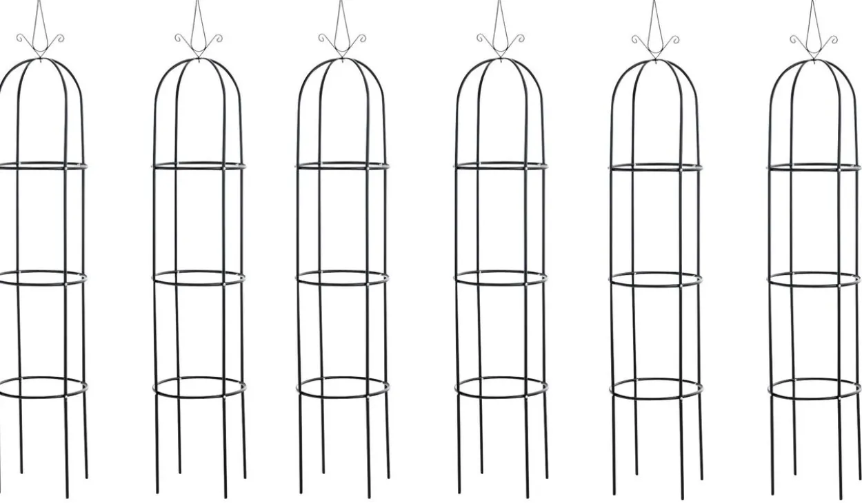 6er Set Rosensäule Romantika, schwarz