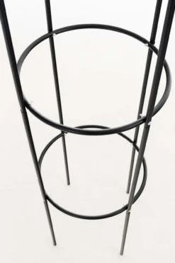 6er Set Rosensäule Romantika, schwarz