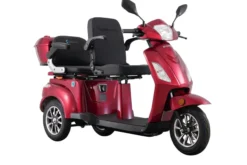 E-Seniorenmobil T409-1, 3-Rad, 1000 Watt, 2 Sitzer