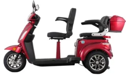 E-Seniorenmobil T409-1, 3-Rad, 1000 Watt, 2 Sitzer