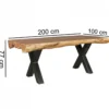Esszimmertisch 200 x 100 x 77cm