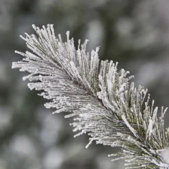 Evergreen Weihnachtsbaum Cedar Frost Kiefer 210cm