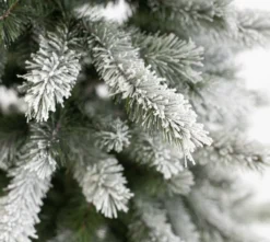 Evergreen Weihnachtsbaum Cedar Frost Kiefer 210cm