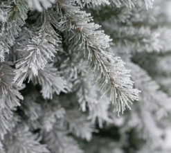Evergreen Weihnachtsbaum Cedar Frost Kiefer 210cm
