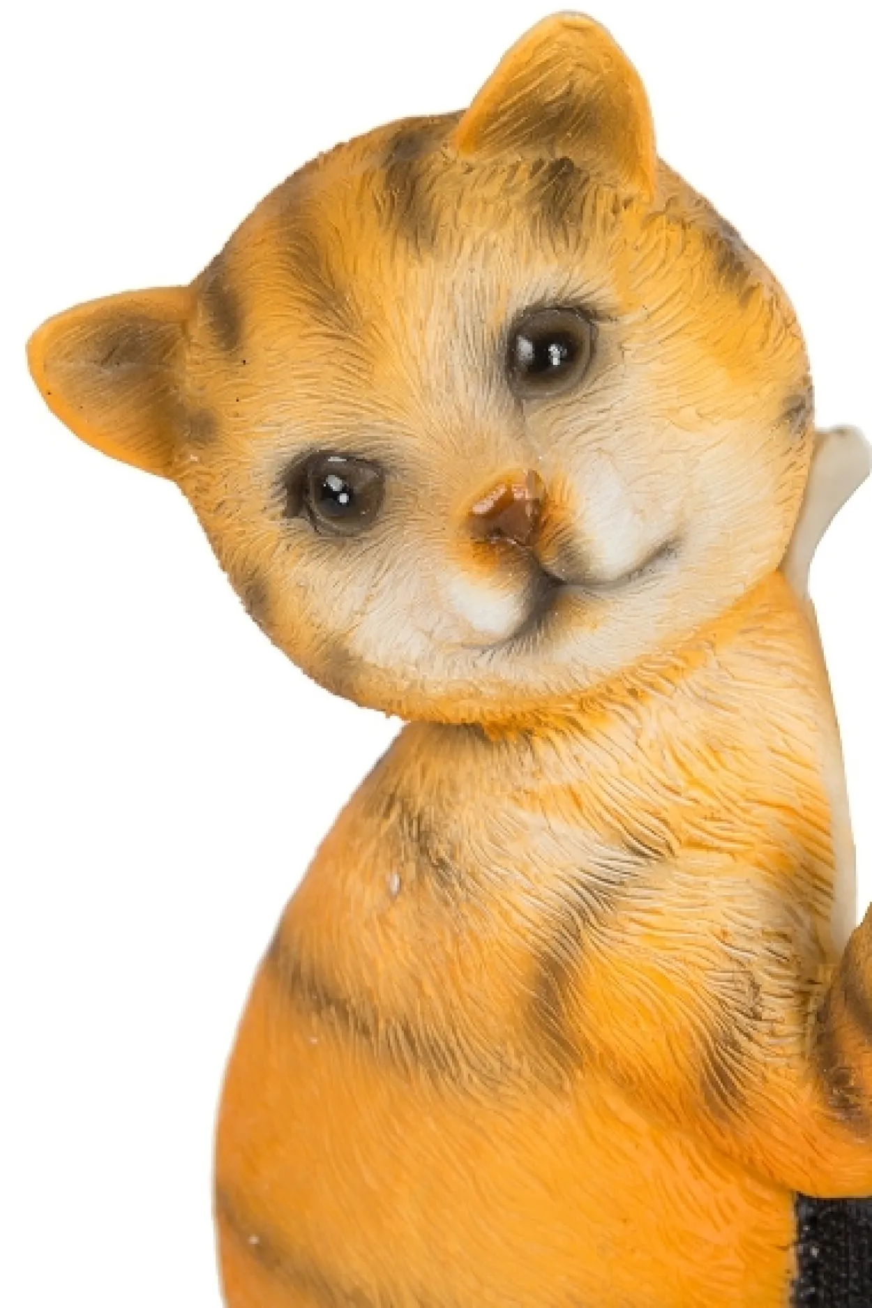 Fallrohr-Kletterer: Katzen, Set/2