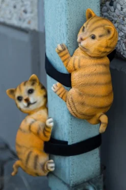 Fallrohr-Kletterer: Katzen, Set/2