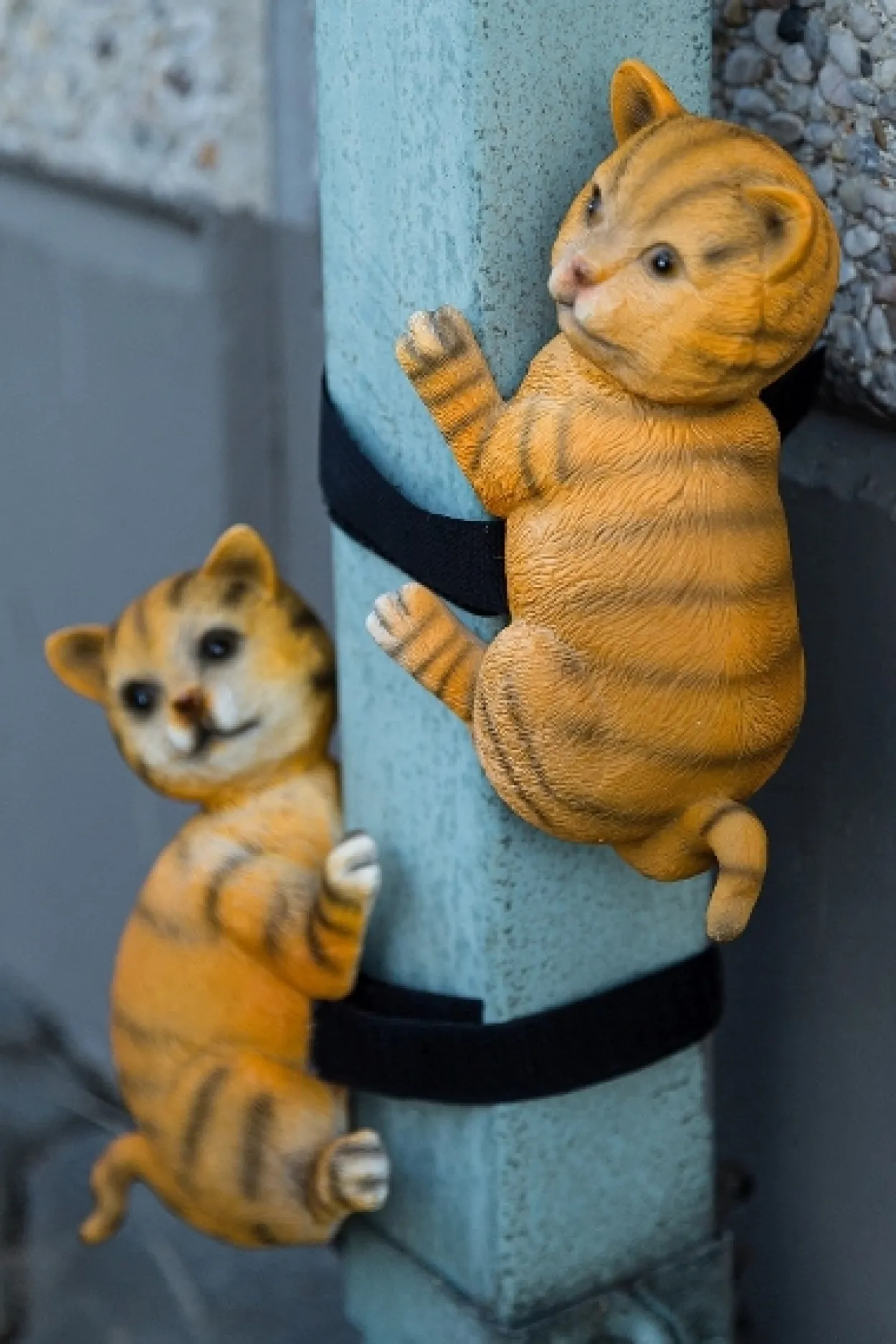 Fallrohr-Kletterer: Katzen, Set/2