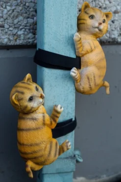 Fallrohr-Kletterer: Katzen, Set/2