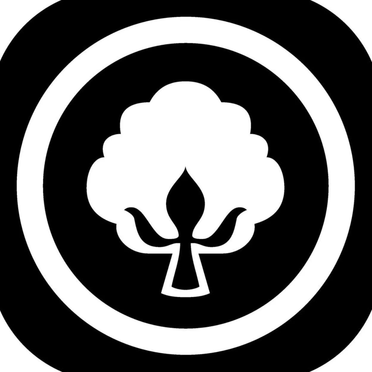 f.a.n.: Softly Komfort