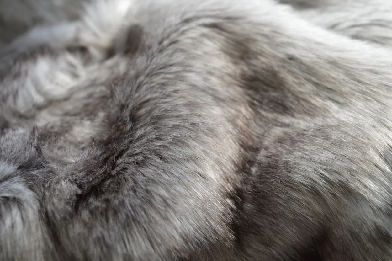 Fellimitat Wohndecke Wolf