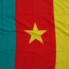 Flagge Kamerun 90 x 150 cm