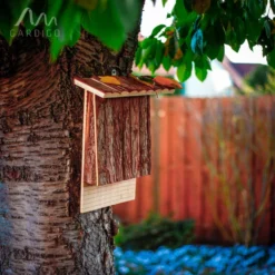 Fledermauskasten