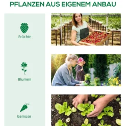 Foliengewächshaus mit Fenster Treibhaus Tomatenhaus Frühbeet Grün