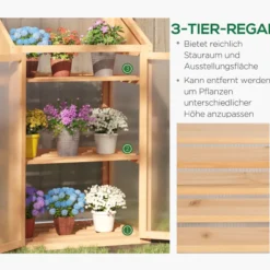 Frühbeet aus Holz, Mini Gewächshaus 70 x 50 x 120 cm, Treibhaus mit Abdeckung