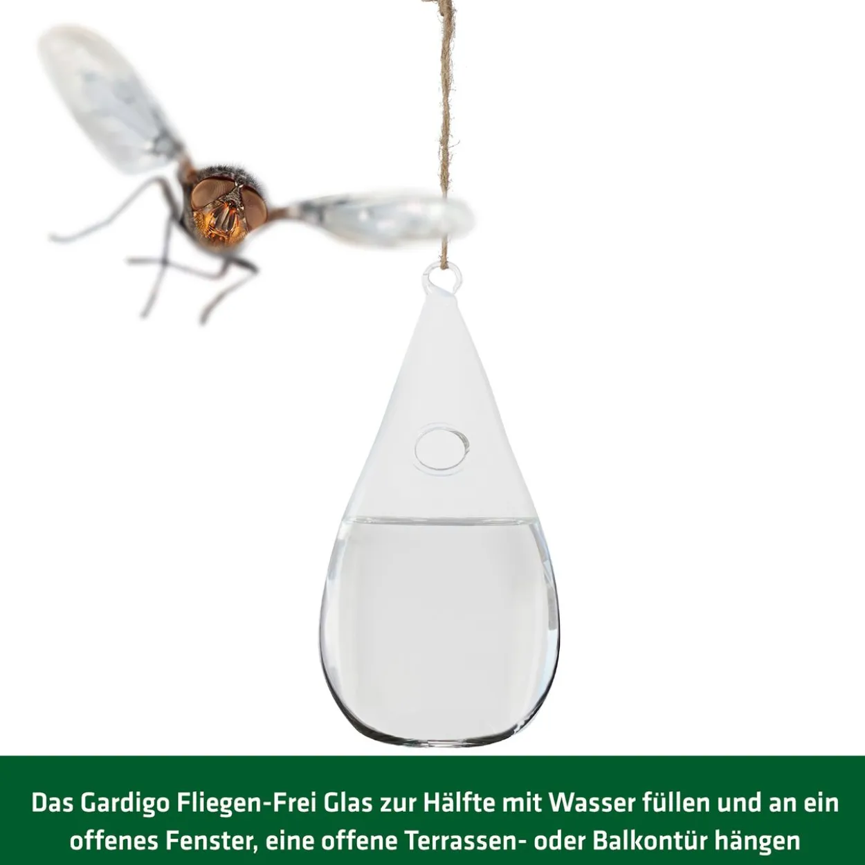 Gardigo Fliegen-Frei Glas