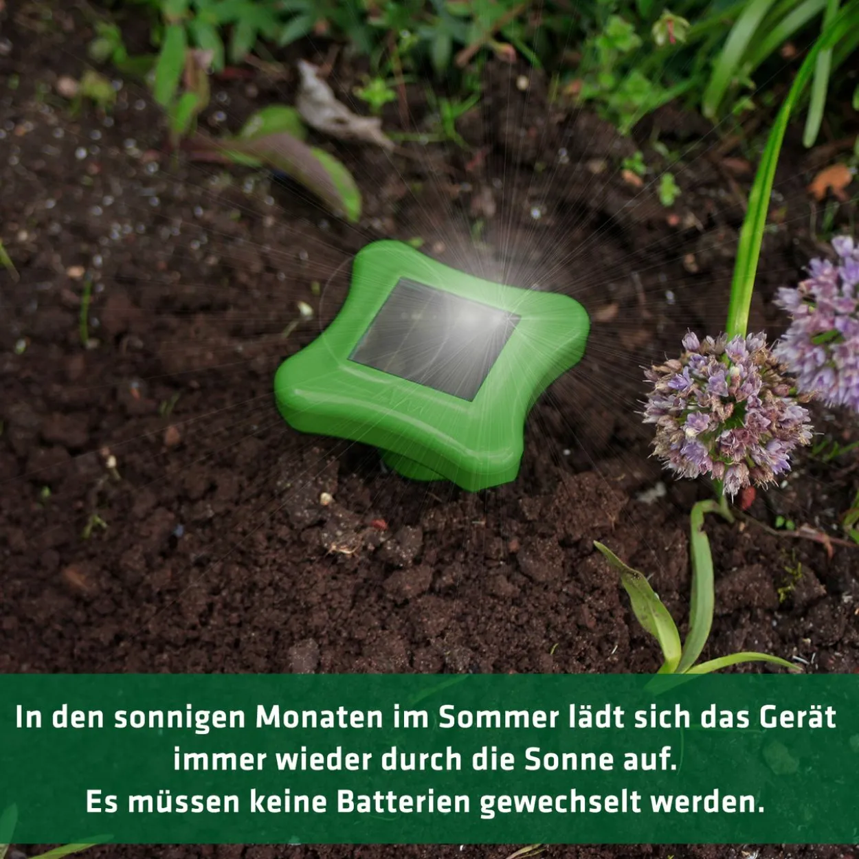 Gardigo Solar Maulwurfabwehr
