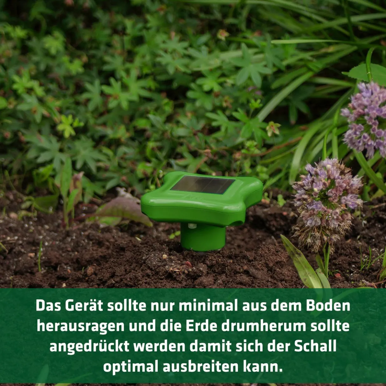 Gardigo Solar Maulwurfabwehr