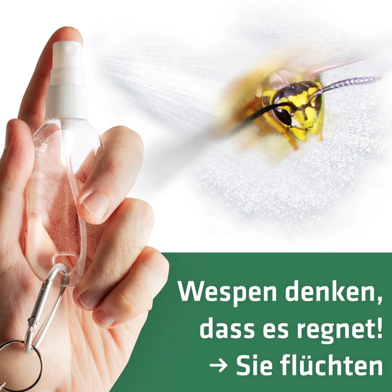 Gardigo Wespen-Wehr-Set
