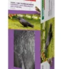 Gartenfigur RABE 37cm, schwarz