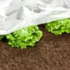 Garten-Vlies 10x1,5m 17g/m²