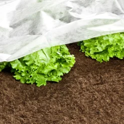 Garten-Vlies 10x1,5m 17g/m²