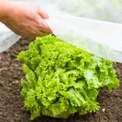 Garten-Vlies 10x1,5m 17g/m²