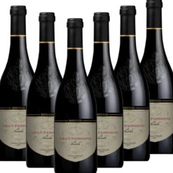 Gran Passione di Bertoldi Rosso Veneto IGT Italien halbtrocken - 6er Karton