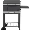 Grill Toronto Basic, ca. 52 x 36 cm