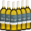 Grüner Veltliner, trocken - 6er Karton