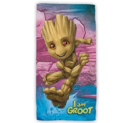 Groot Strandtuch aus Baumwolle 70x140 cm