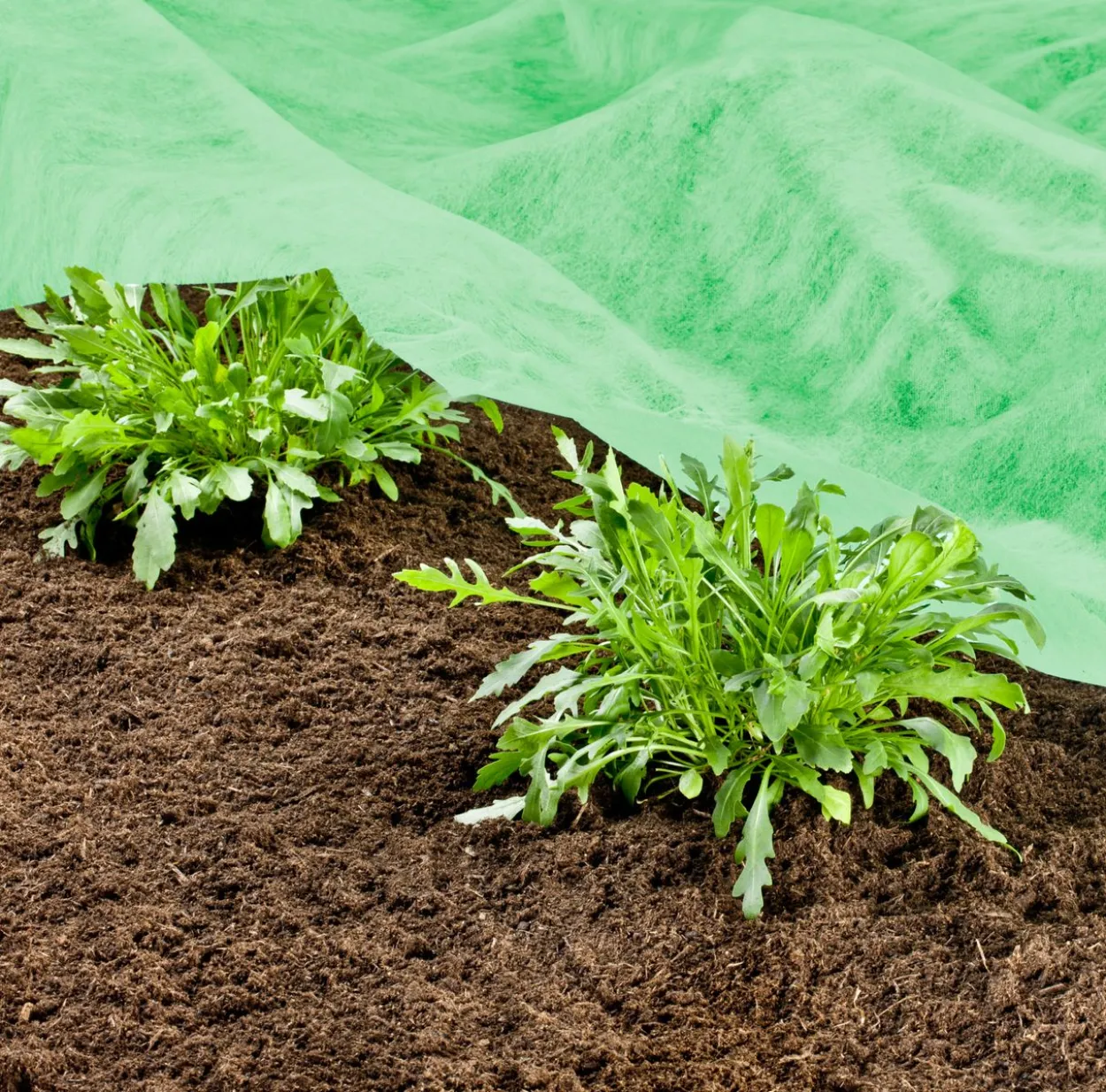 G.-Vlies SUPERGROW 10x1,5m 20g/m²