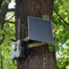 4G Wildkamera TX-189 + Solar Panel