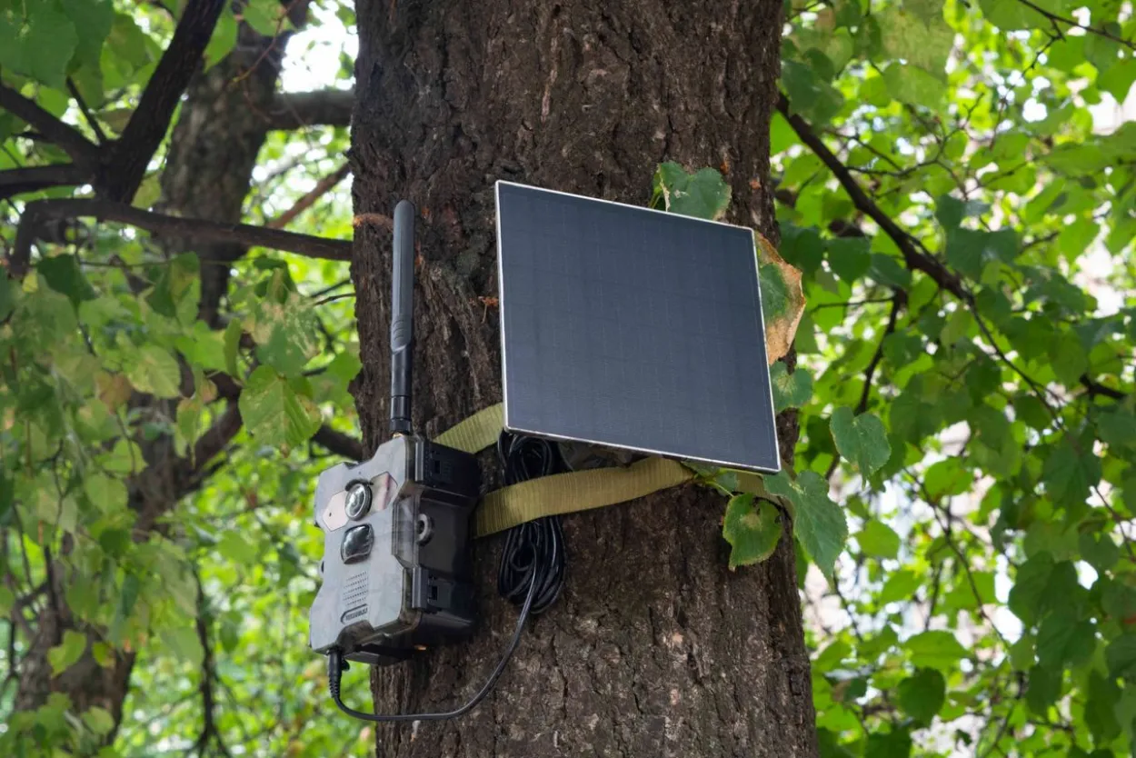 4G Wildkamera TX-189 + Solar Panel